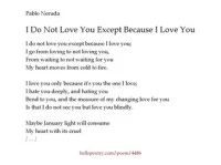 I Do Not Love You Except Because I Love You